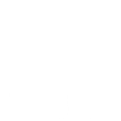 Trips Summer
